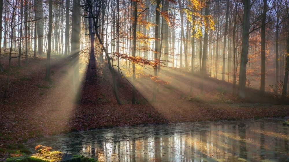 Photograph by Tomasz Spychała