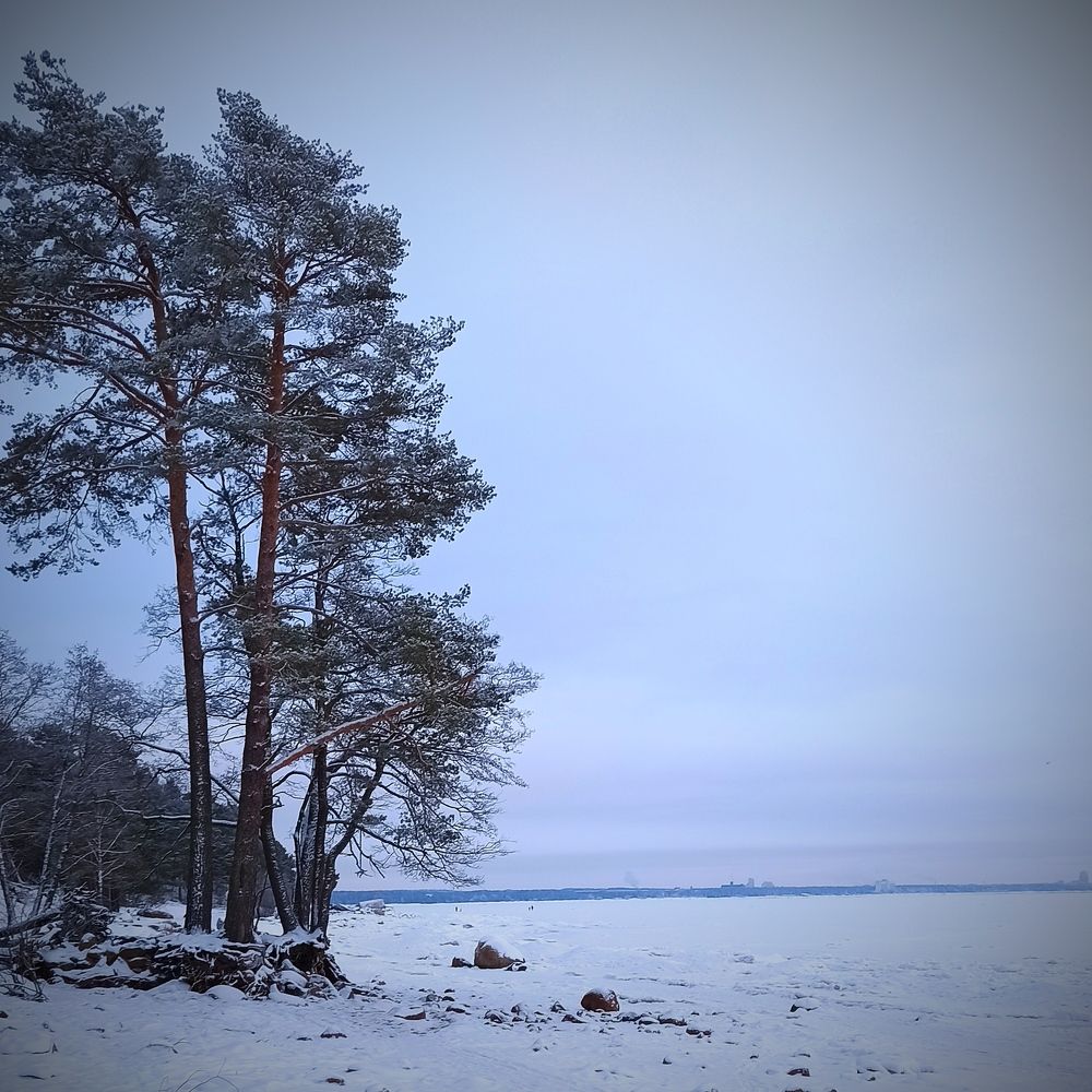 Photograph by Дмитрий