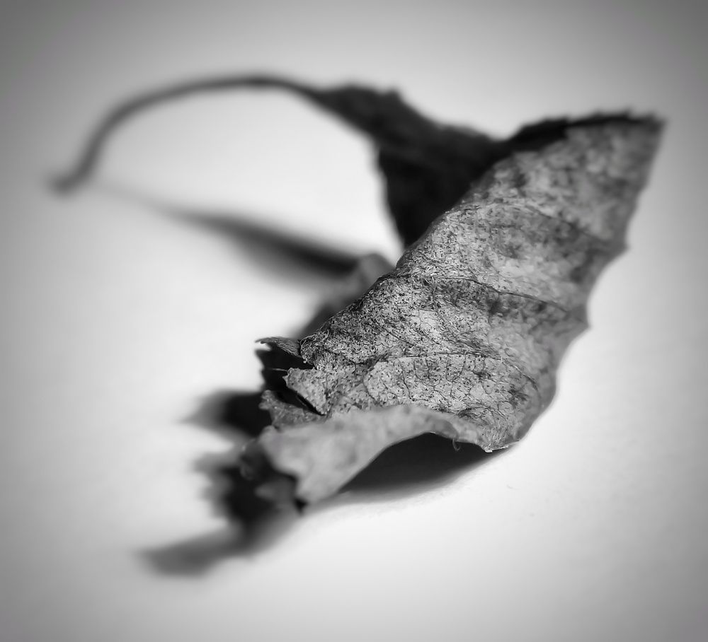 Photograph by Алексей Копылов