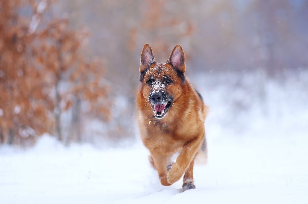 Фотография автора Дарина Матасова