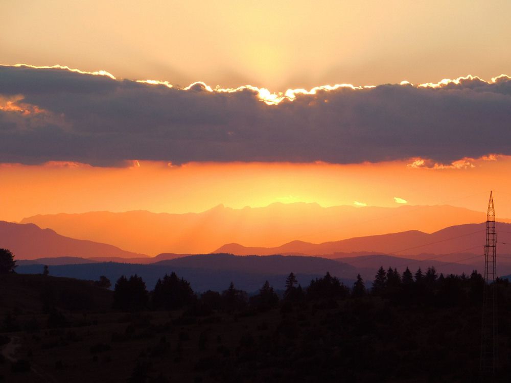 Photograph by Aleksandra Zukovic