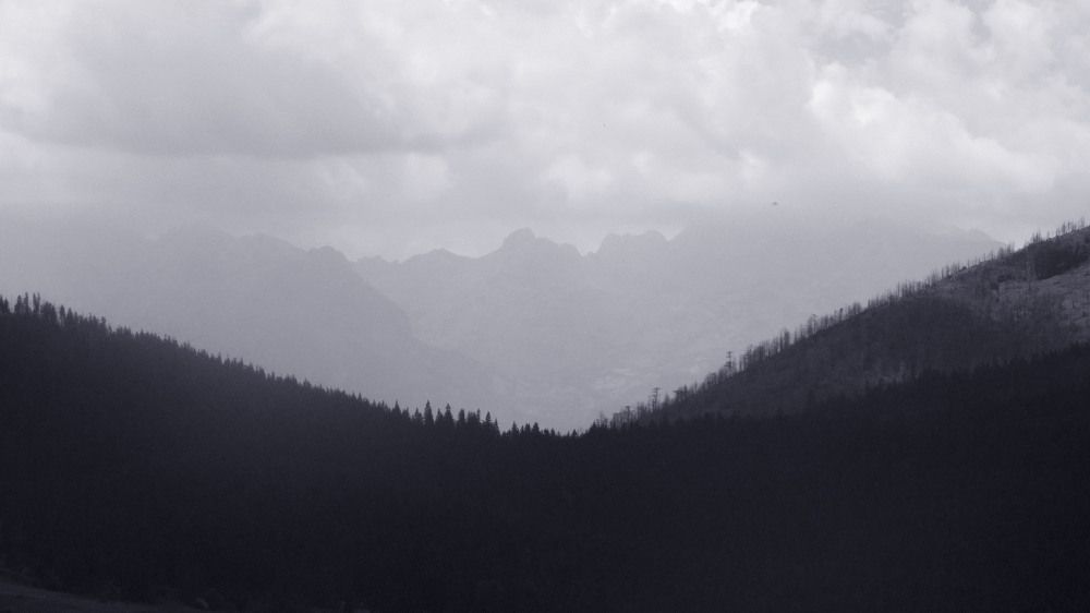 Photograph by Aleksandra Zukovic