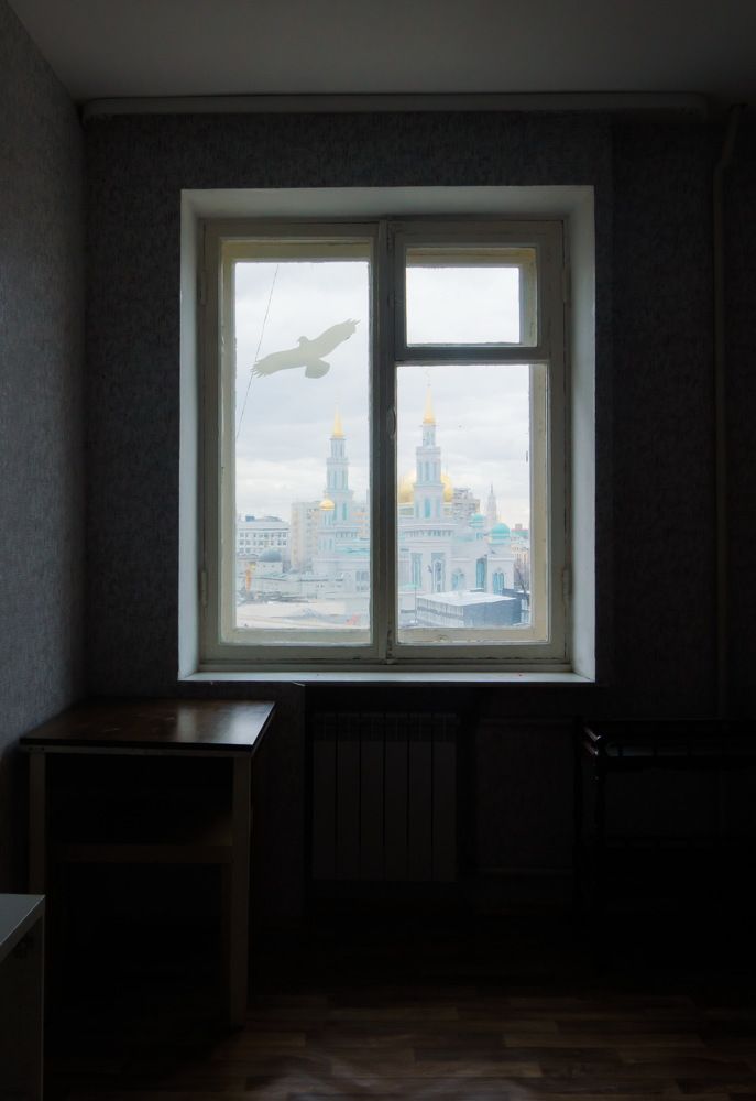 Photograph by Дмитрий