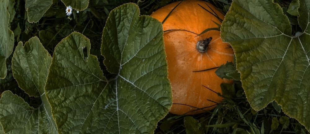 Photograph by Ilуа Chirkov