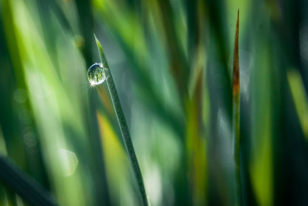 Photograph by Olga Vasina