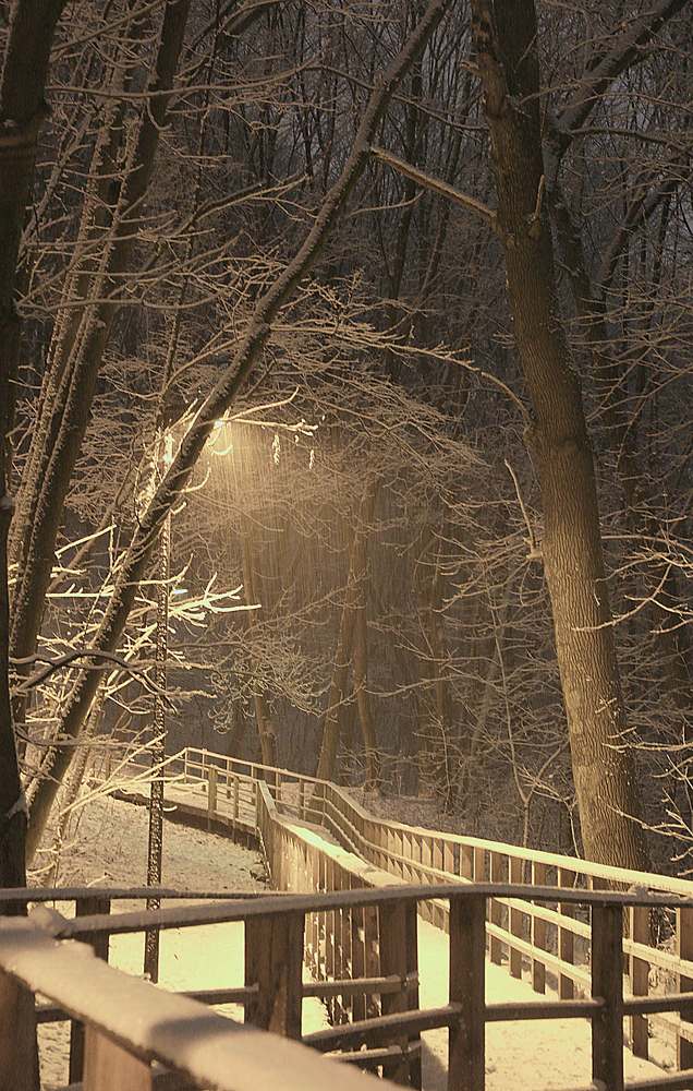 Photograph by Николай Котов