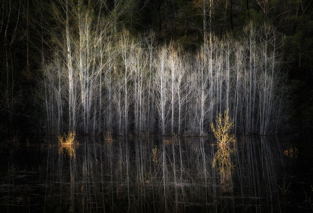 Photograph by Тамара Андреева