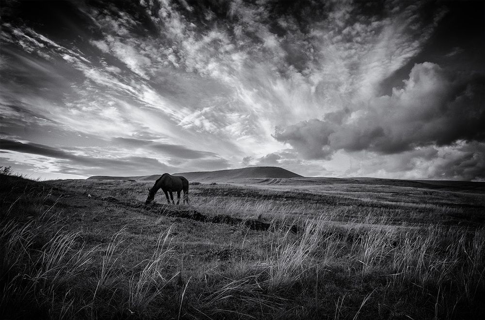 Photograph by Тамара Андреева