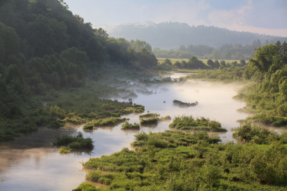 Morning on the San River