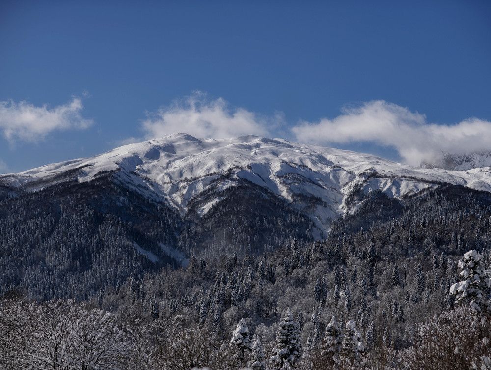 Photograph by Гульнара Ашимова