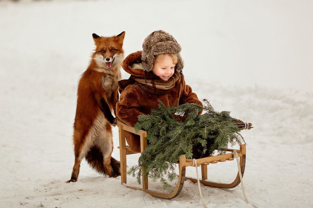 Веселая доставка елочки на праздник