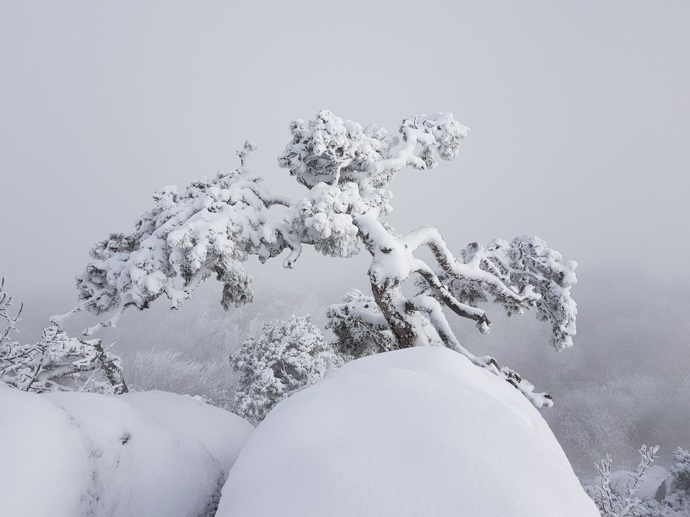 Photograph by Сергей Стаценко