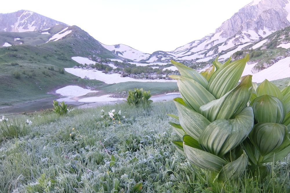 Photo #5623456