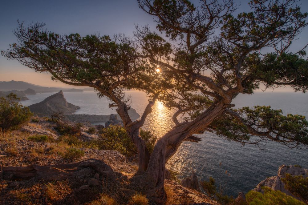 Фотография автора Виктор Иванов