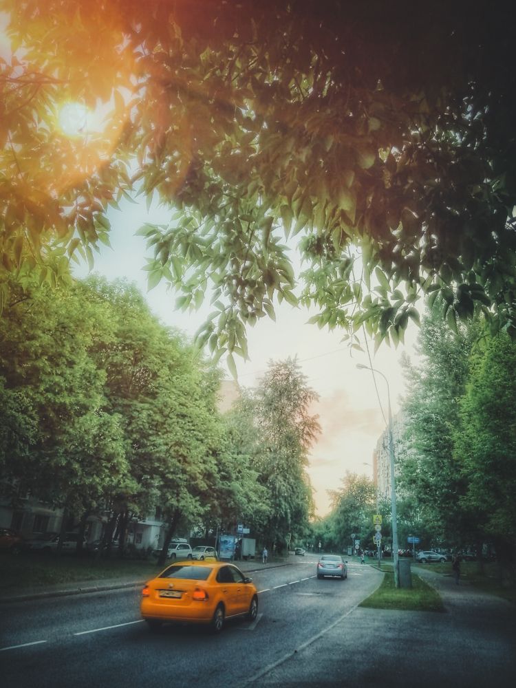 Photograph by Ekaterina Fadeeva