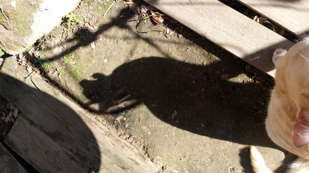 Photograph by Жанна Цветкова