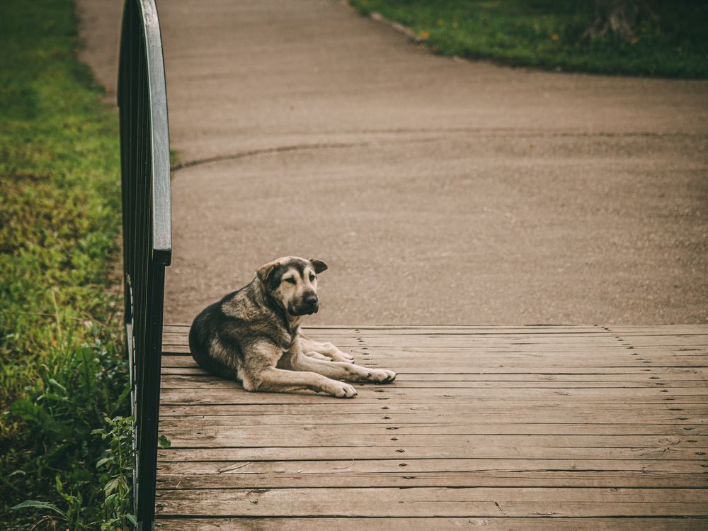 Photograph by Вячеслав Баширов