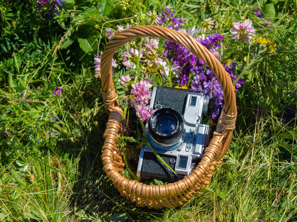 Photograph by Вячеслав Баширов