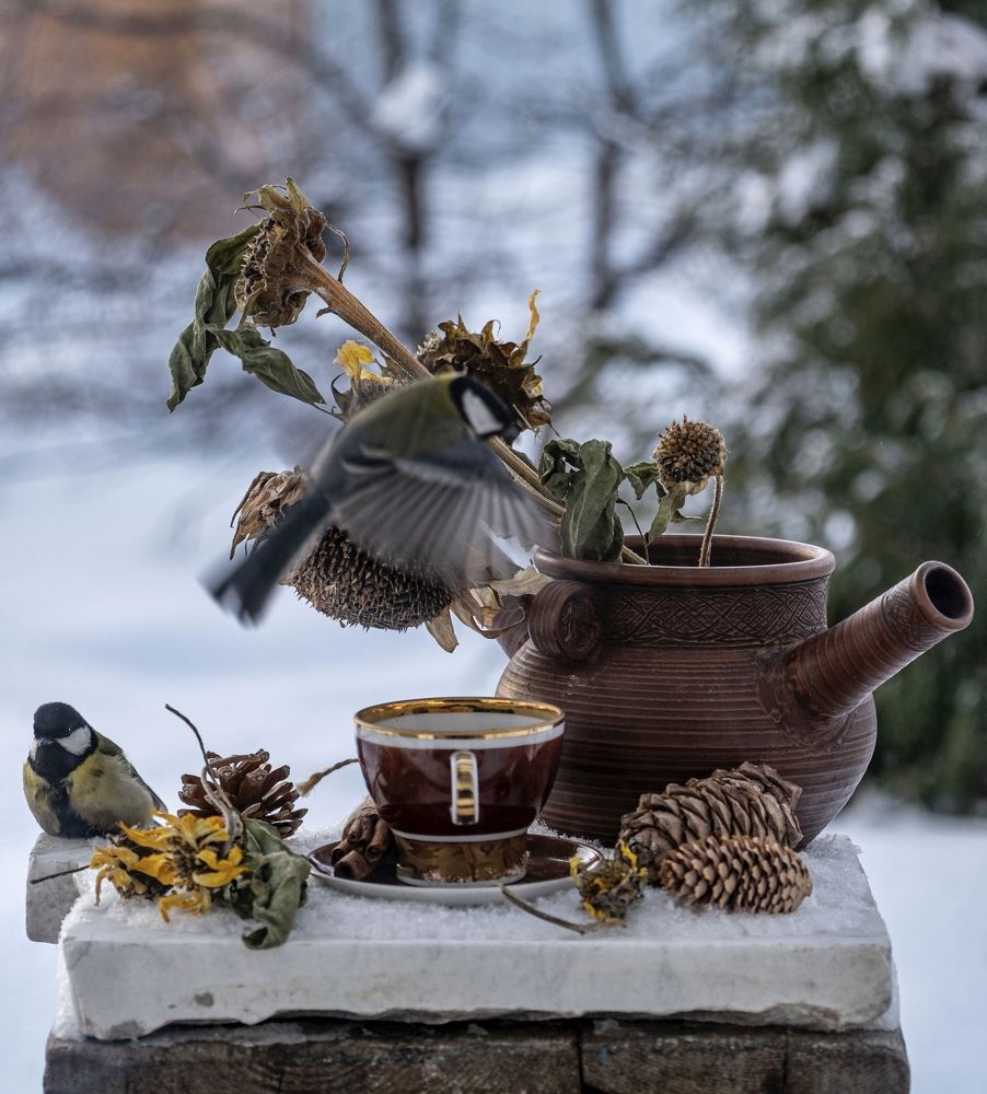Photograph by Инна Громова