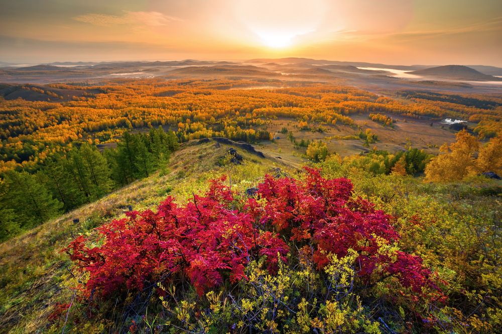 Photograph by Владимир Акиньшин