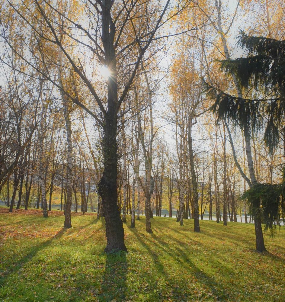 Photograph by Сергей Иванович Носов