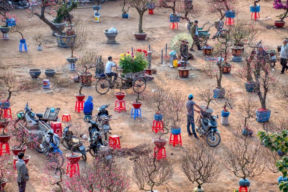 Photograph by Trần Viết Tú