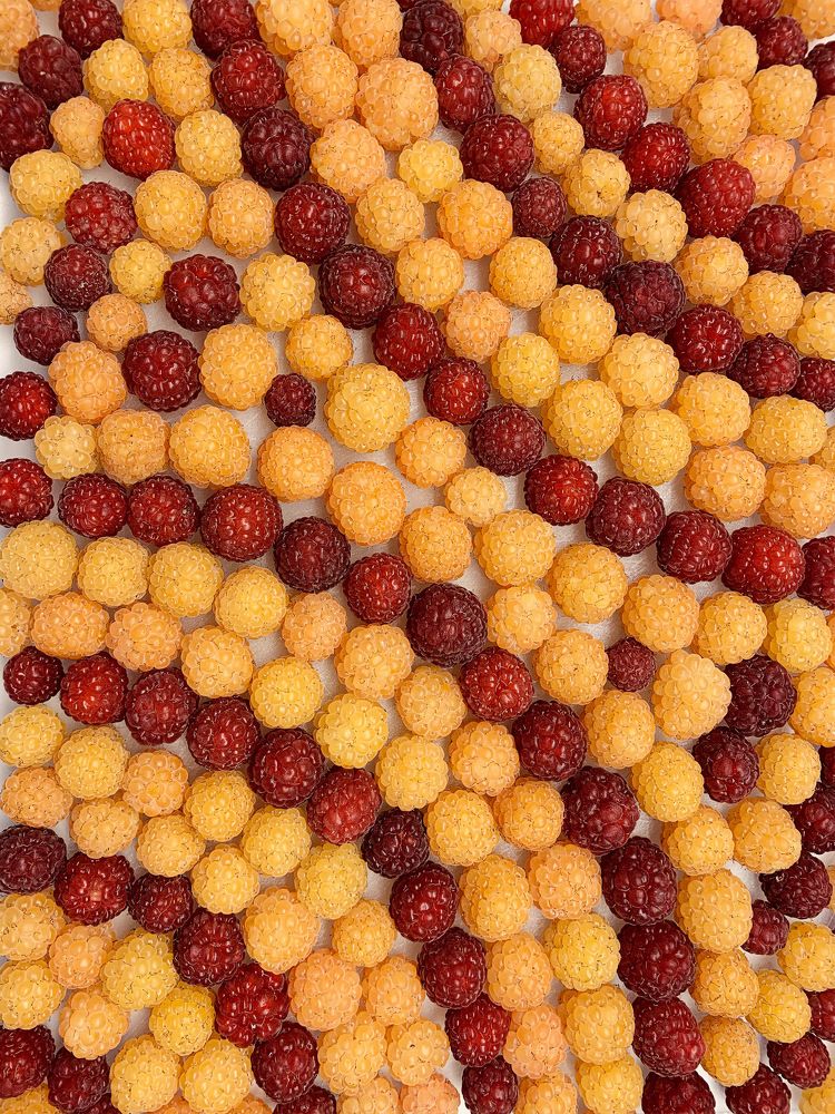 Photograph by Людмила Ефремова