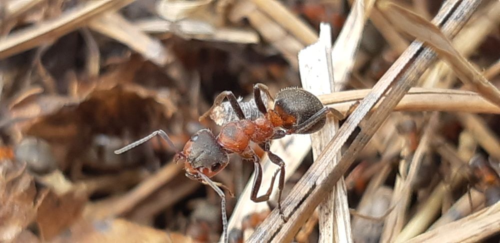 Photograph by Александр Кочуркин