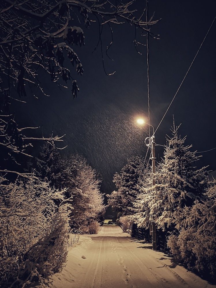 Photograph by Olga Asson