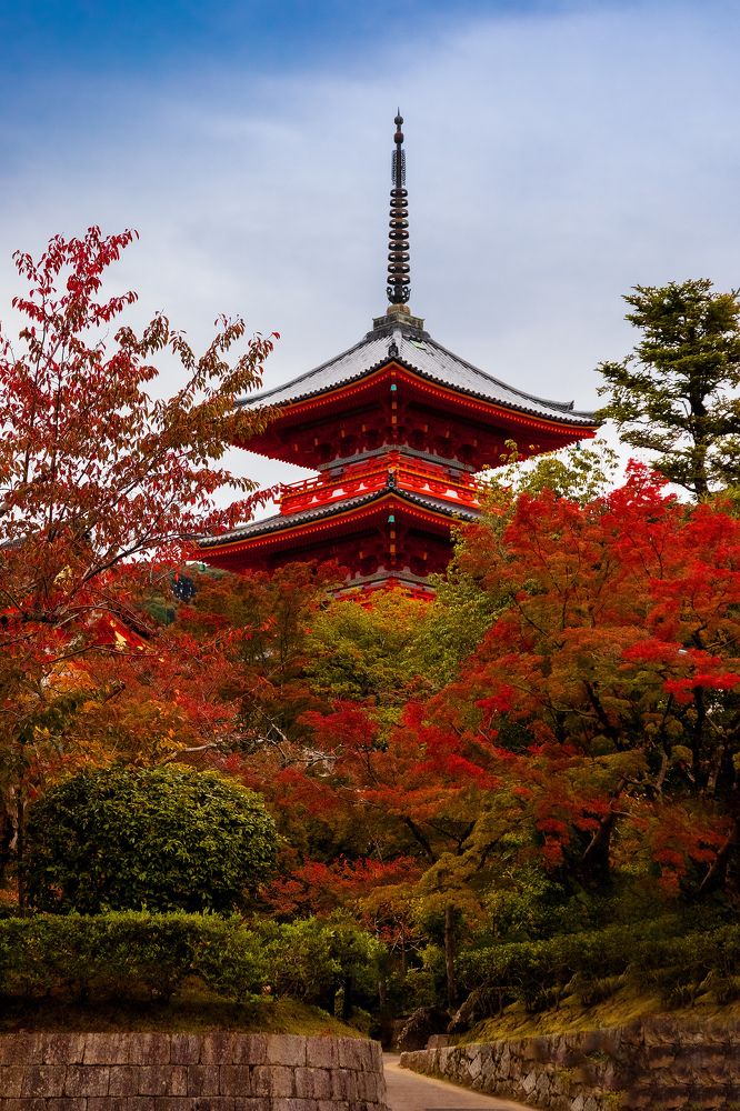 Photograph by Александр Игнатьев