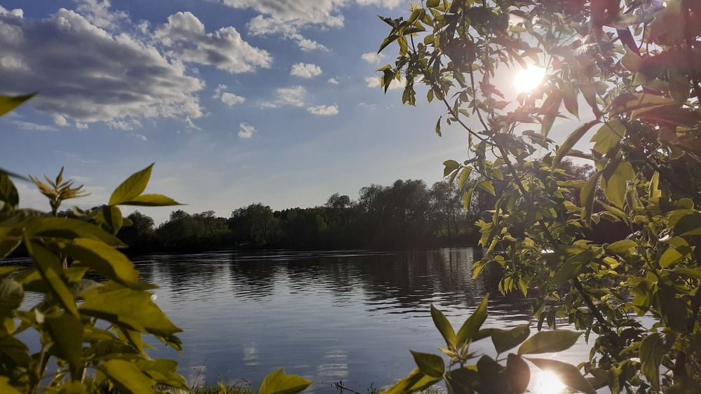 Photograph by Елена Лещева