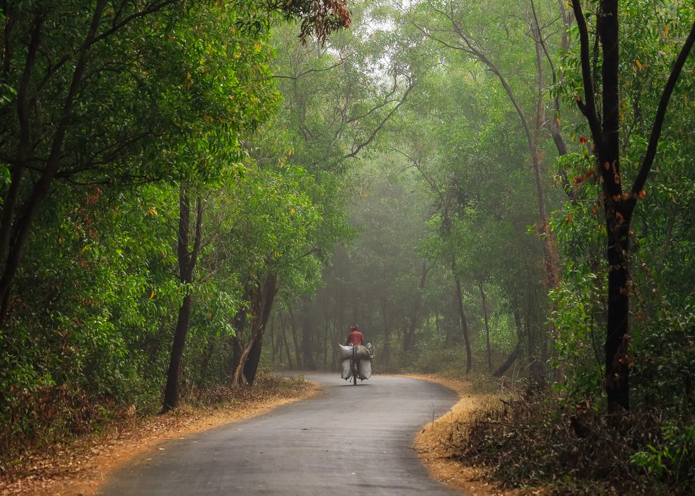 Photograph by Kumarjit Mondal