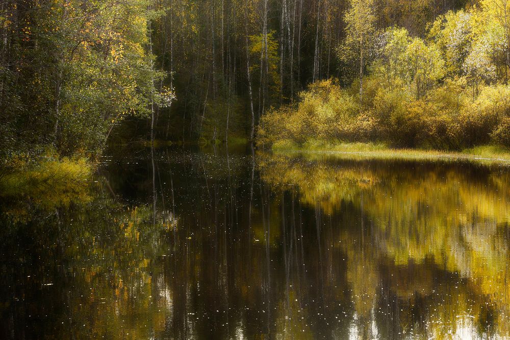 Тихая заводь