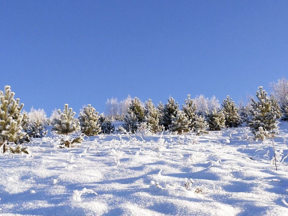 Photograph by Александра Лукашевич