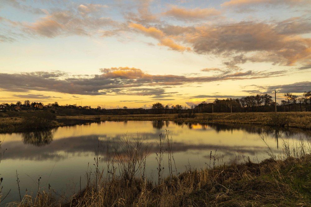 Photograph by Ирина Миловидова