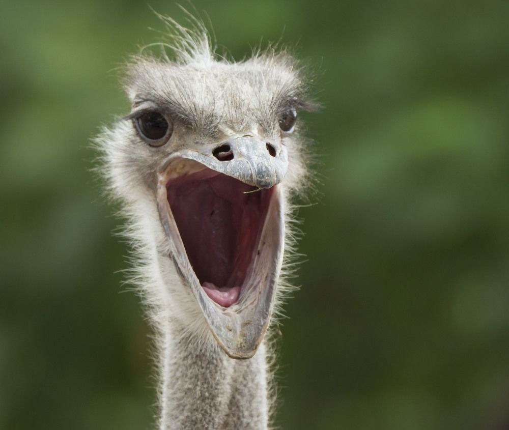 Photograph by Валентина Лопаткина