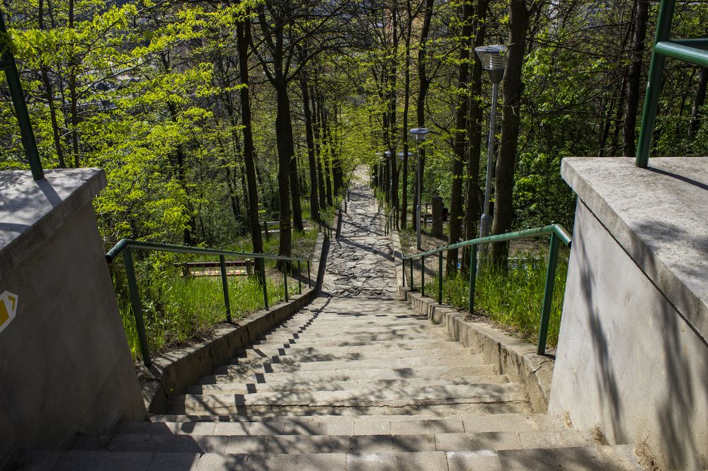 Photograph by János Rábli