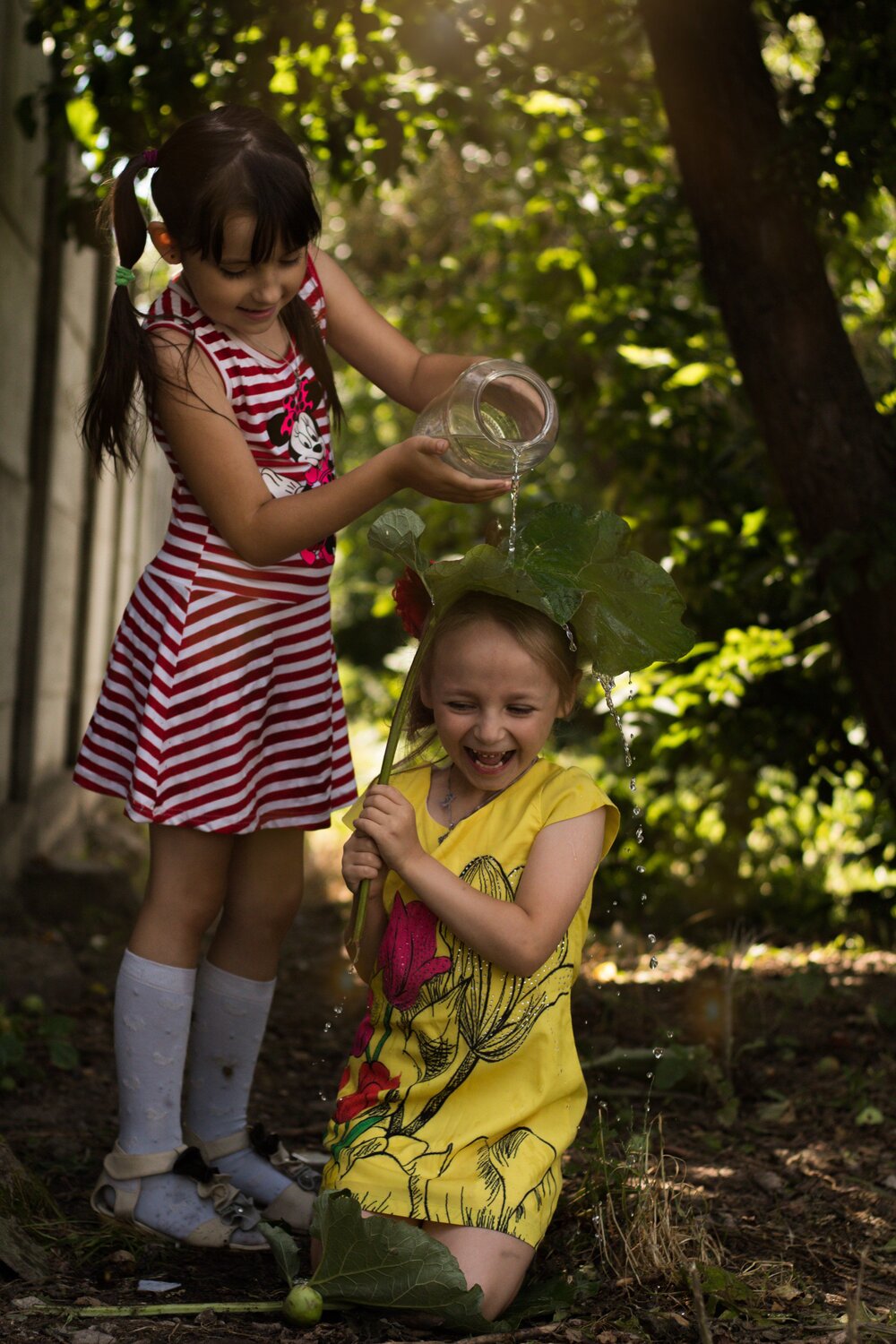 Photo #5624288