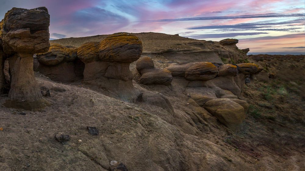 Photograph by Марат Кучкаев