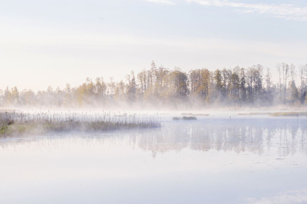 Photograph by Aliaksei Shandalin