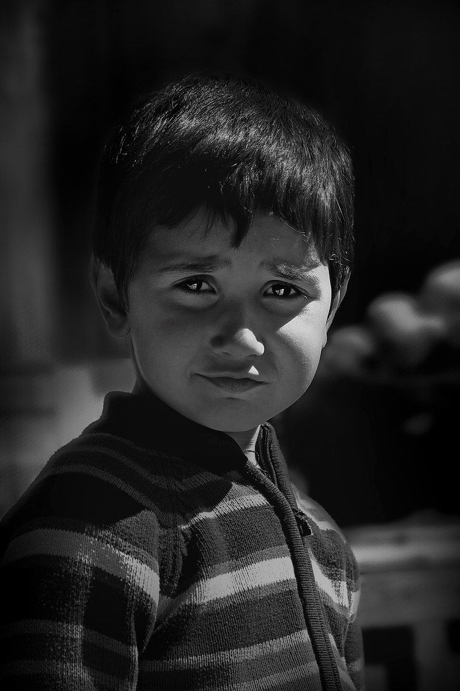 Фотография автора  Gemini