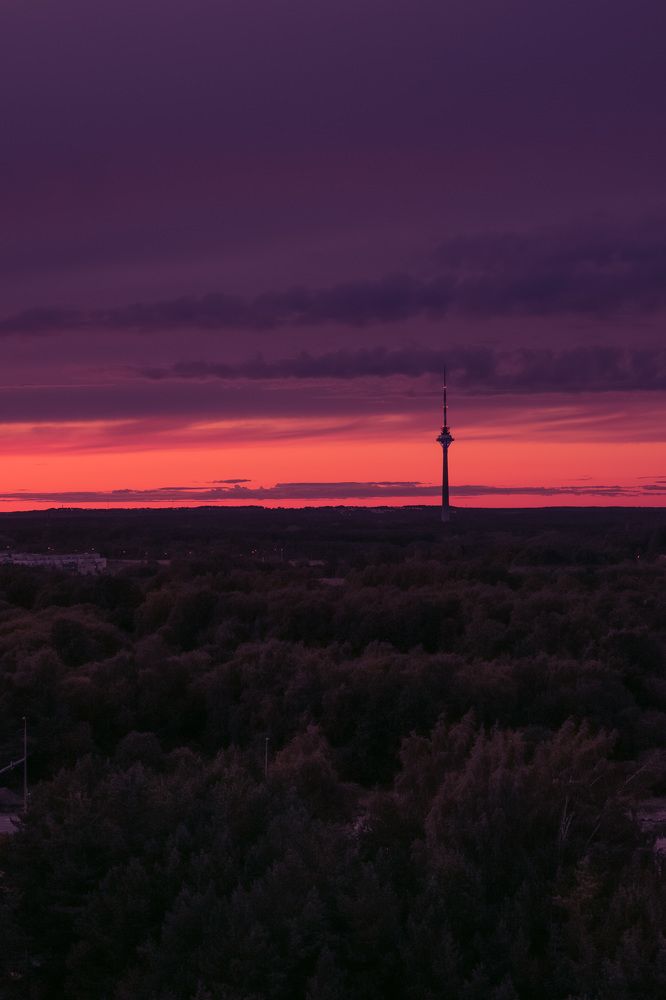 Photograph by Nikita Naumov