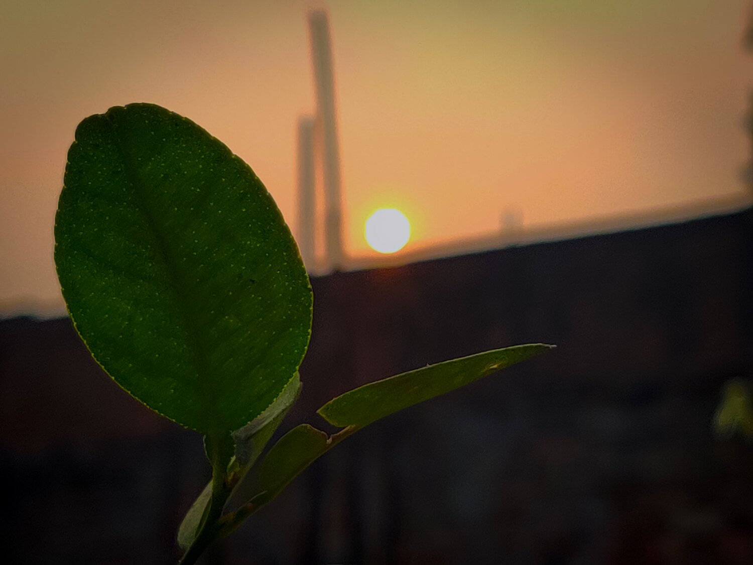 Source of First life