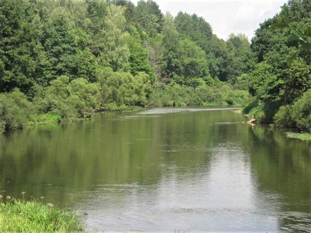 Photograph by Михаил Редин