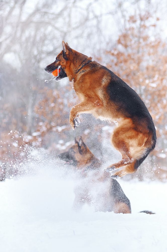 Фотография автора Дарина Матасова