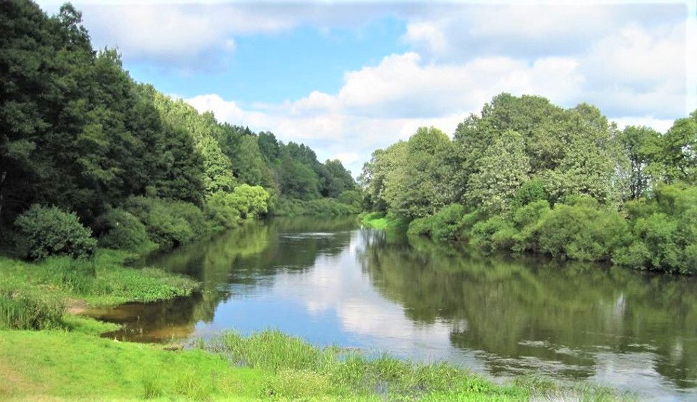 ДЕСНА-КРАСВИЦА (местечко Борча Жуковского района Брянской области)