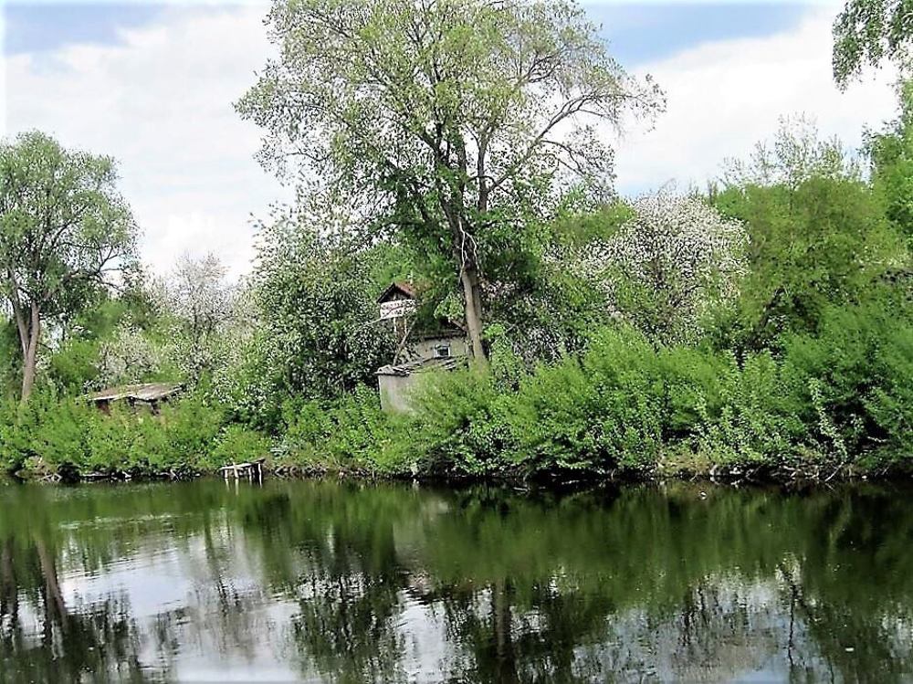 НА МАЙСКОЙ ЦНЕ