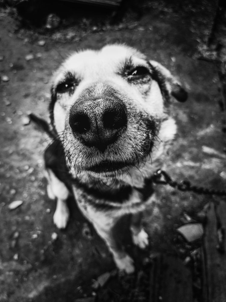 Photograph by Inna Kuznetsova