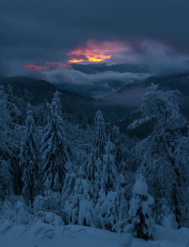 Photograph by Алексей Медведев