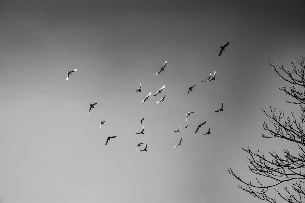 Photograph by mahnaz maleki